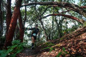 BIB: 
                            <button type="button" onclick="openModal(26345894)" class="btn btn-primary btn-sm float-right btn-popup" data-toggle="modal" data-target=".modal-high-quality">
                        <i class="fas fa-shopping-cart"></i> Add to Cart
                    </button>
                                            <button type="button" onclick="isThisMe(26345894, true)" class="btn btn-success btn-sm float-right btn-popup btn-isme hidden" data-toggle="tooltip" data-placement="bottom" title="นี่คือรูปของคุณใช่ไหม คลิกที่นี่เพื่อเอาเข้าอัลบั้ม">
                        <i class="fas fa-plus"></i> Add to album
                    </button>
                    <button type="button" onclick="isThisMe(26345894, false)" class="btn btn-warning btn-sm float-right btn-popup btn-isnotme hidden">
                        <i class="fas fa-ban"></i> Remove from album
                    </button>